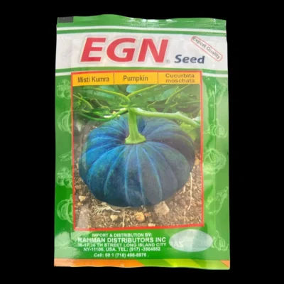 EGN Misti Kumra (Pumpkin) Seeds | Sweet Pumpkin