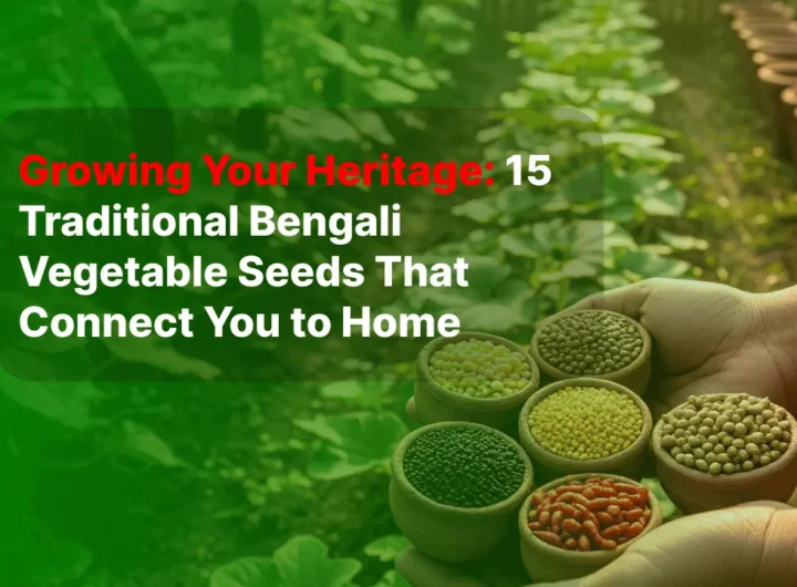 Growing Your Heritage 15 Traditional Bengali Vegetable Seeds That Connect You to Home