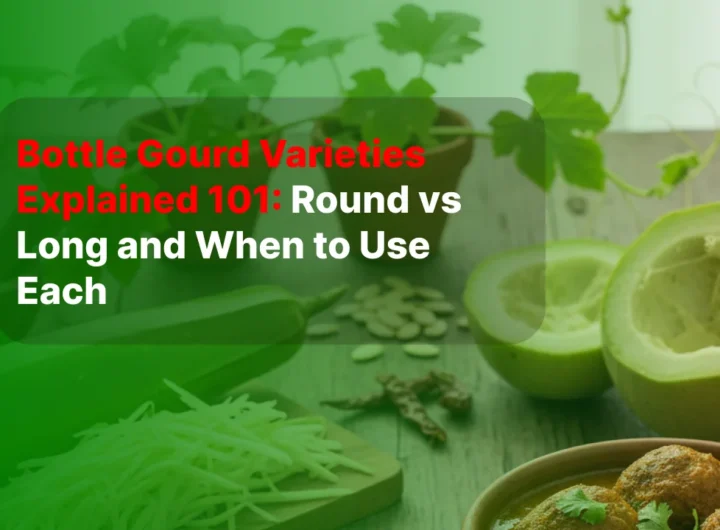 Bottle Gourd Varieties Explained 101 Round vs Long and When to Use Each